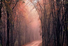 PG电子官网：球员锦标赛4强出炉！中国独苗出局，肖国栋遭到.