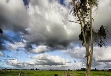 PG电子官网：“篮球运动员参与慈善比赛，支持公益事业”.